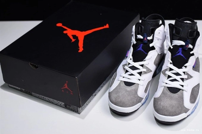 Cheap Air CI3125-100 Jordan 6 Grey Flint 0810